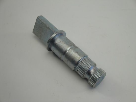 PictureAltAttribute - 30372-jpg